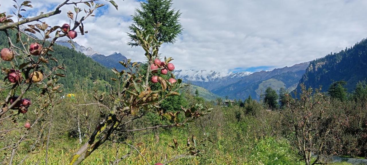 Apple Flower With Balcony And Mountain View Manāli Εξωτερικό φωτογραφία