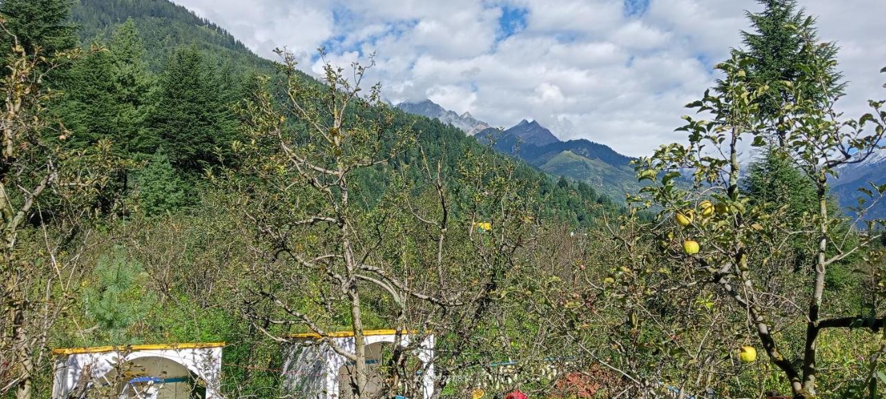 Apple Flower With Balcony And Mountain View Manāli Εξωτερικό φωτογραφία